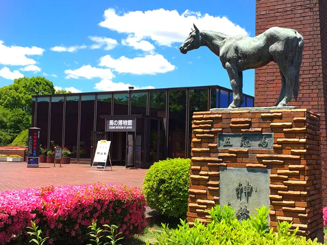 日本で初めての近代洋式競馬が行われた横浜競馬場を記念して建てられた「馬の博物館」を横浜観光スポットとしてご紹介します。